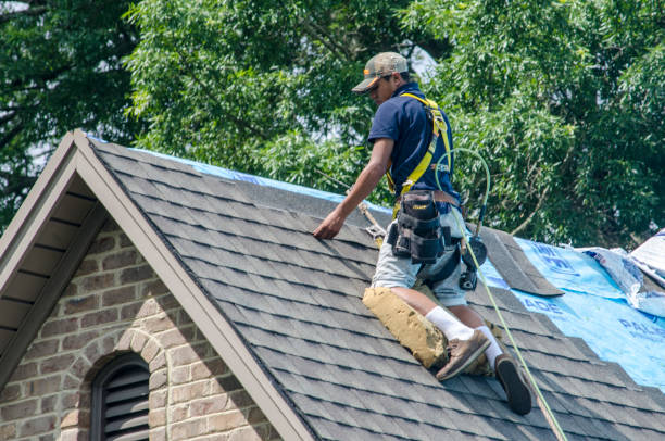 Best Roof Repair Services  in Loch Lomond, VA